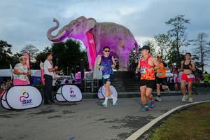 BIB: 
                            <button type="button" onclick="openModal(26529470)" class="btn btn-primary btn-sm float-right btn-popup" data-toggle="modal" data-target=".modal-high-quality">
                        <i class="fas fa-shopping-cart"></i> Add to Cart
                    </button>
                                            <button type="button" onclick="isThisMe(26529470, true)" class="btn btn-success btn-sm float-right btn-popup btn-isme hidden" data-toggle="tooltip" data-placement="bottom" title="นี่คือรูปของคุณใช่ไหม คลิกที่นี่เพื่อเอาเข้าอัลบั้ม">
                        <i class="fas fa-plus"></i> Add to album
                    </button>
                    <button type="button" onclick="isThisMe(26529470, false)" class="btn btn-warning btn-sm float-right btn-popup btn-isnotme hidden">
                        <i class="fas fa-ban"></i> Remove from album
                    </button>